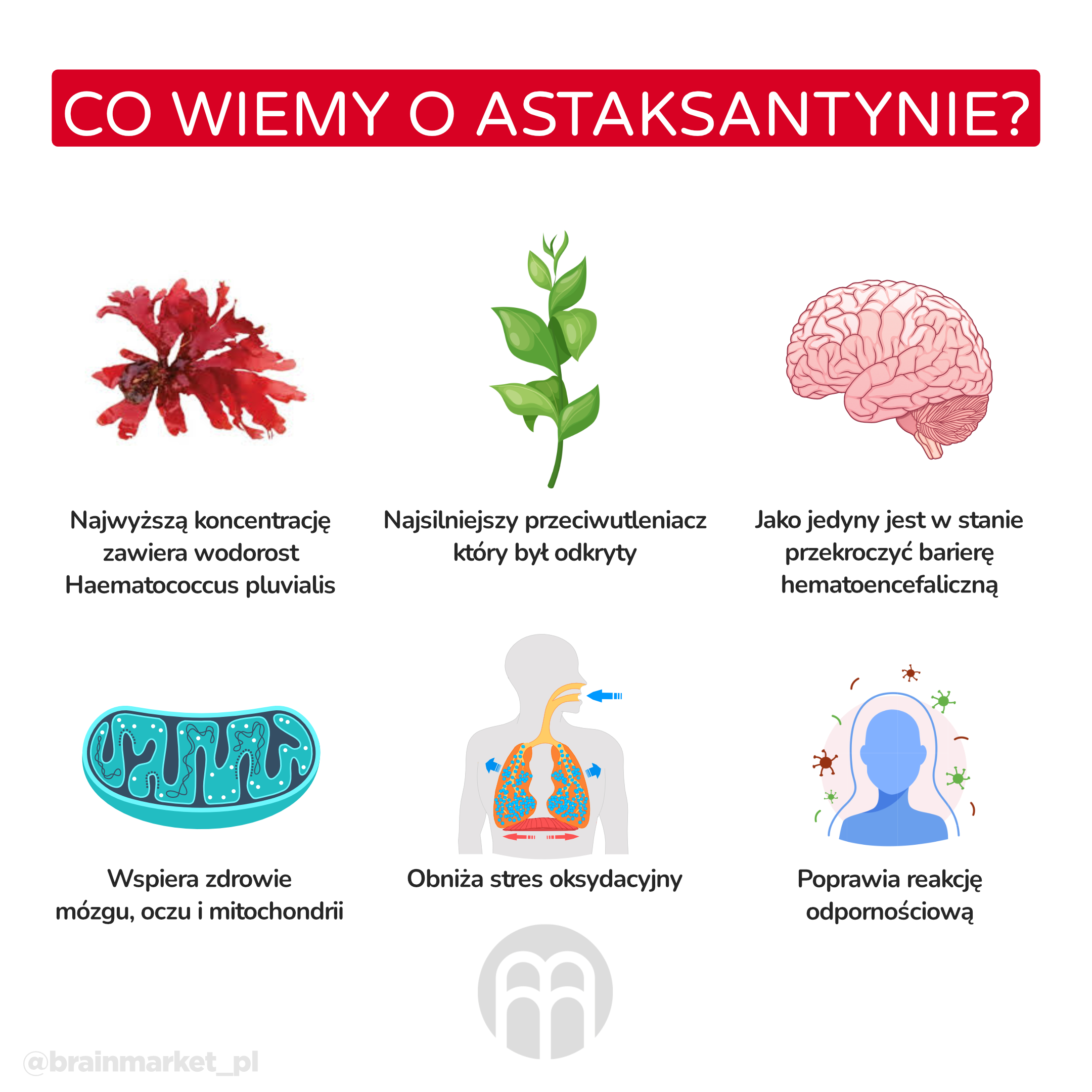 astaxanthin_pl